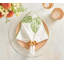 Calypso Napkin