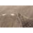 Kashkuli Gabbeh Grey Rug 4'8" x 6'6"