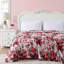 Couvertures en molleton doux Betsey Johnson-90579671-109271858