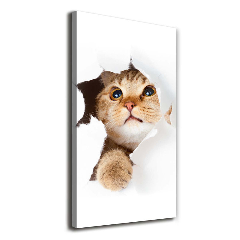 Cat - Wrapped Canvas Print