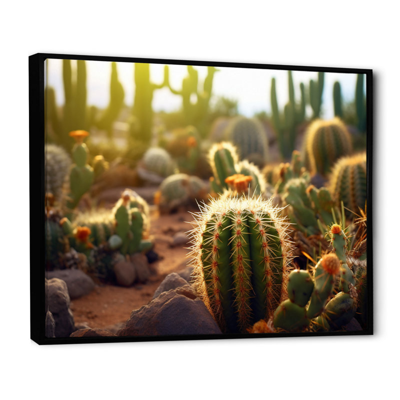 Cactus Perfection Sunrise II - reproduction sur toile, H 24 po x l 32 po x P 1 po, Cadre flottant noir