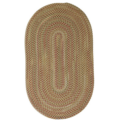Flatweave Indoor Rug