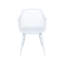 Nashua II Dining Chair-1930978218
