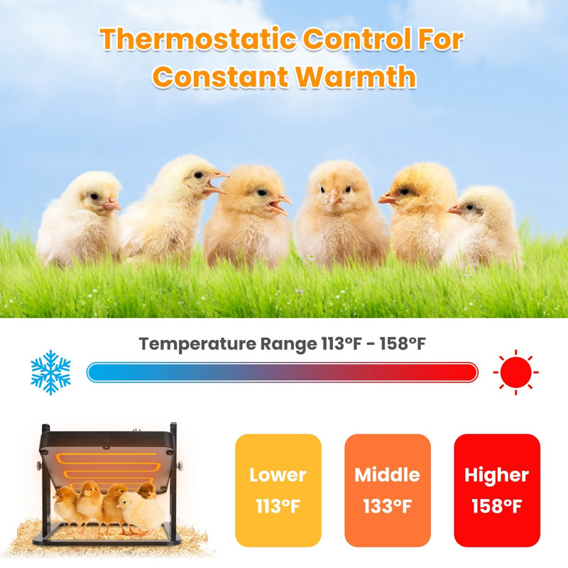 Incubateur à panneau chauffant réglable de 21 W à Broode Hother For Chicks de 113 à 158 ° F