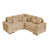 Camel Chenille selected