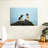 Brampt Puffin Birds-108694763