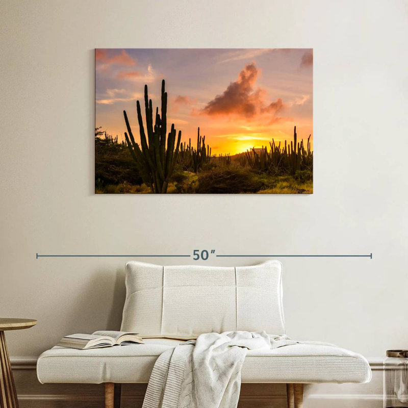 Harnek cactus coucher de soleil, H 26 po x l 39 po