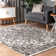 Okolona Oriental Indoor Rug