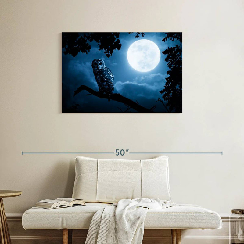 Hibou de nuit Brampt