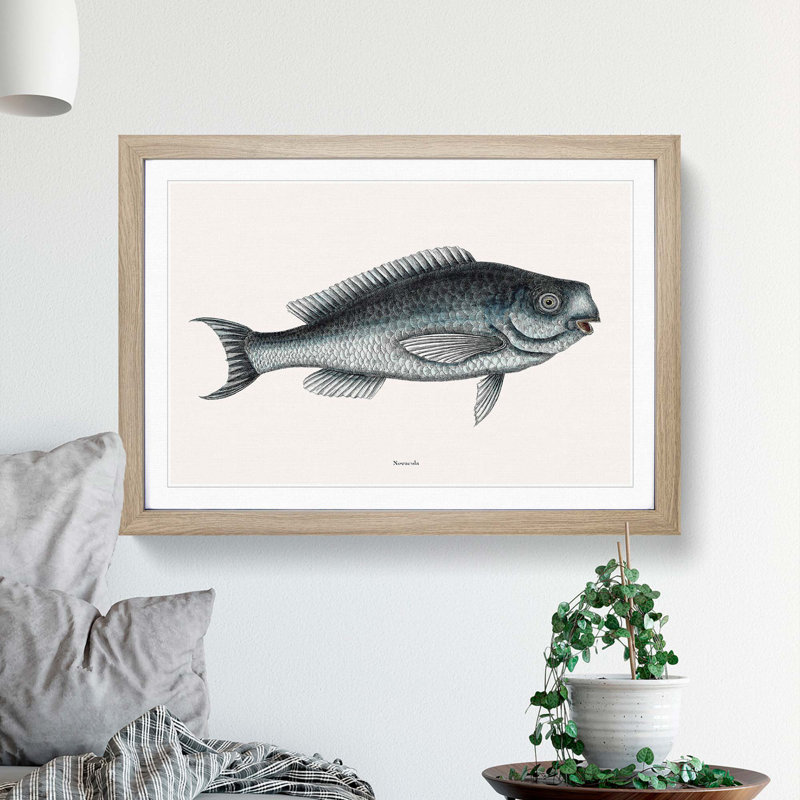 Blue Fish by Mark Catesby - Picture Frame Painting Print, 27cm H x 36cm W x 2cm D, Oak Framed