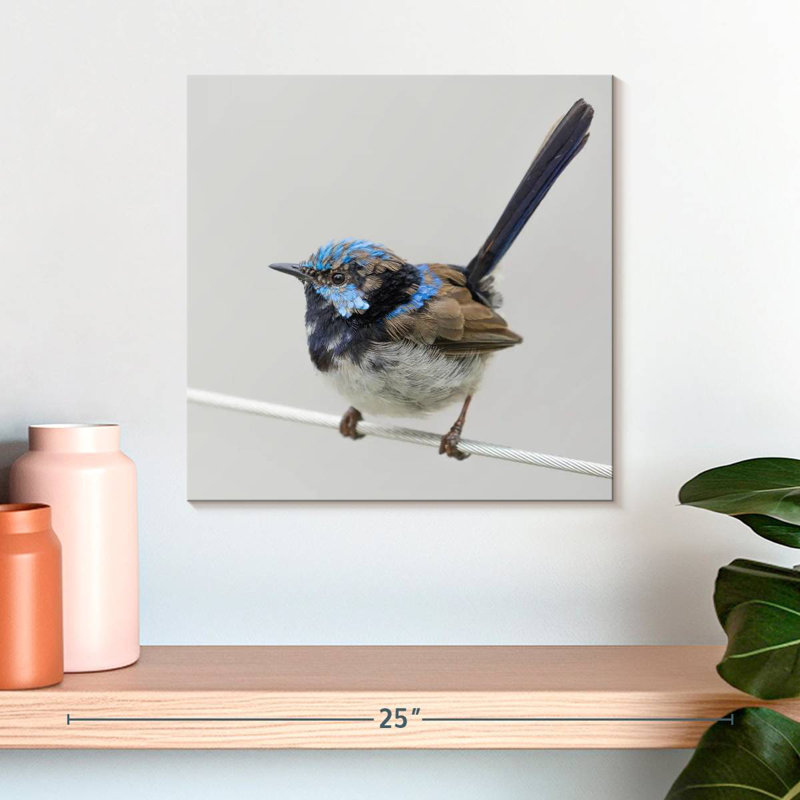 Brampt Bluebird Close Up, 16" H x 16" W