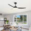 Cherrise 132cm Ceiling Fan with LED Lights-1726729807