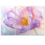 Fleur d'été de tulipe mauve I - ensemble d'art mural tulipe-308467714-308467715-308467712