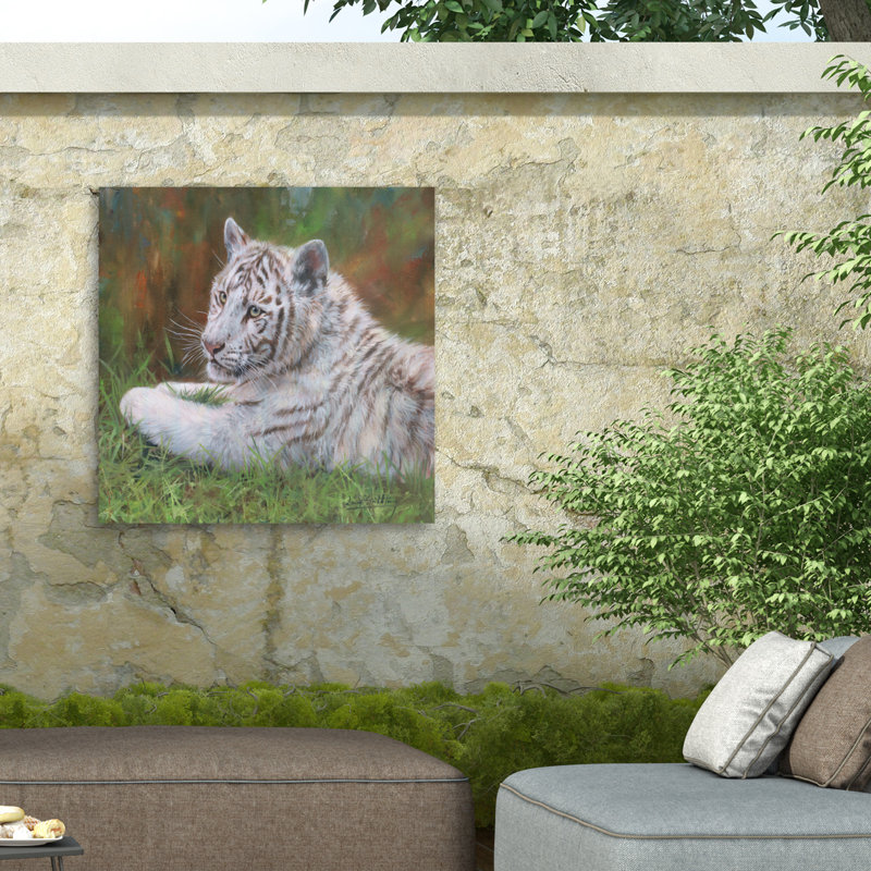 Toile d'extérieur David Stribble White Tiger Cub, H 14 po x l 14 po