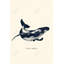 Croquis de baleine bleue - Animaux aquatiques, reproduction encadrée-581619752-581619758