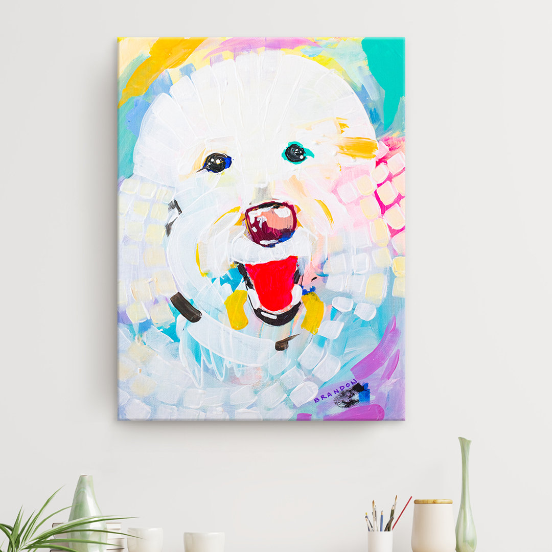" Colorburst Bichon " by Brandon Thomas Winston Porter 