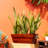 7.8 In. Dark Wood Plastic Rectangle Self-Watering Planter Pot