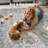 Floral Washable Stain Resistant Area Rugs for Entryway Living Room Bedroom, Vintage Boho Non-Slip Forest Rug Carpet -625144117