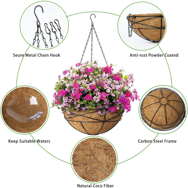 Paquet de 4 paniers suspendus 14 pouces pour plantes d'extérieur (sans fleur) 