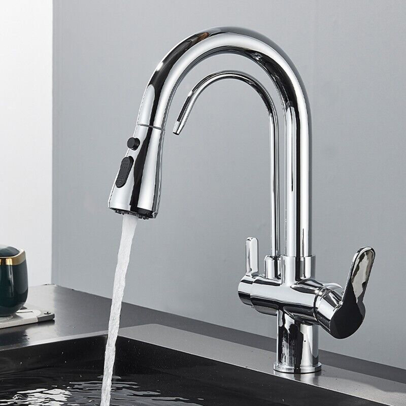 Belfry Kitchen Wilburg Pull Out Kitchen Faucet