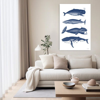Whales Whale Coastal Art
