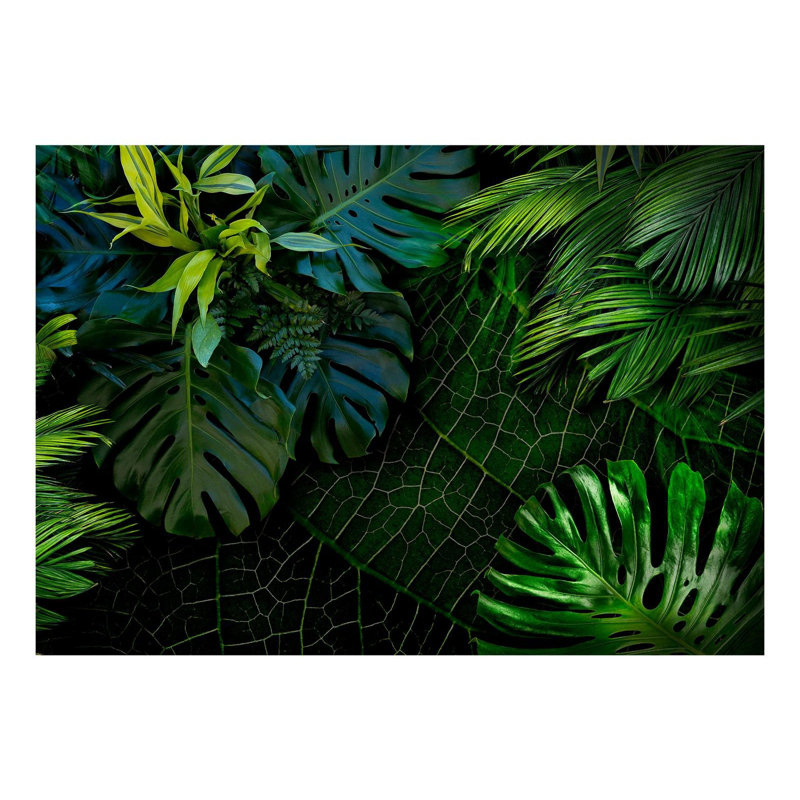 Adhésif mural jungle noire Afraa, L 27 po x l 39 po