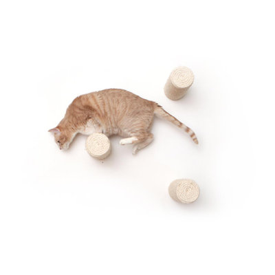 Carson-James Scratching Post