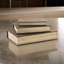 Jolly Decor Storage Book Box Set Of 3, Linen, Velvet Lining-99517243