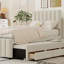 Lit plateforme simple tapissier avec lit gigogne et 3 tiroirs-1968934096
