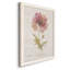 Soft Poppy - peinture sur toile encadrée-61358179-61358181