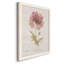 Soft Poppy - peinture sur toile encadrée-61358195-61358179