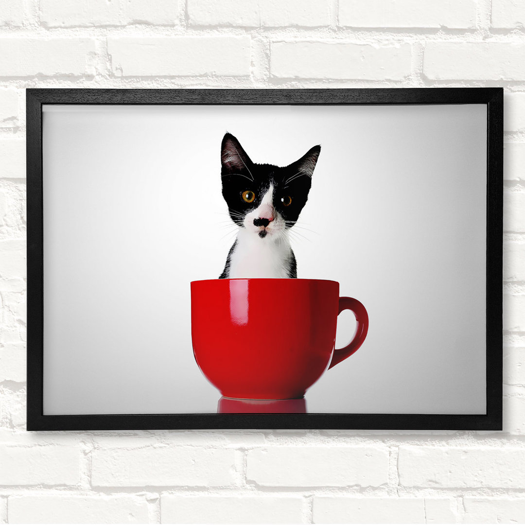 Gerahmtes Leinwandbild Cat In A Tea Cup