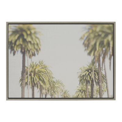 LA California Palm Trees by Laura Evans Framed Canvas Wall Art Print