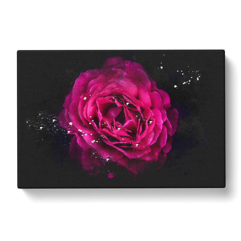 Fuscia Pink Carnation - Wrapped Canvas Painting, 30cm H x 45cm W x 4cm D