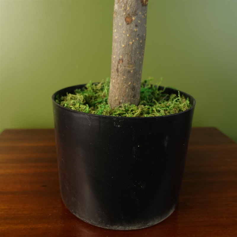 70cm Faux Evergreen Plant in Pot Liner