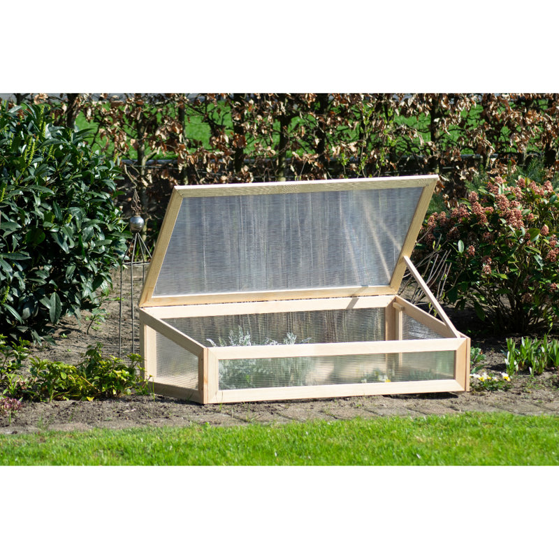 Aakifah 2 Ft W x 4 Ft D Cold Frame