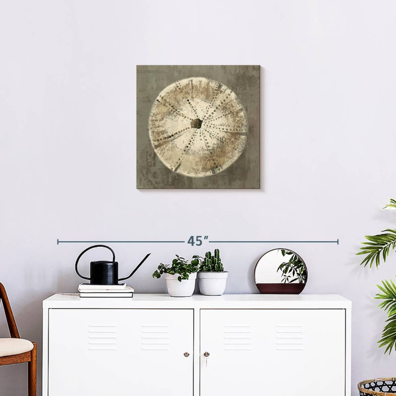 Brampt Sand Dollar I, H 20 po x l 20 po