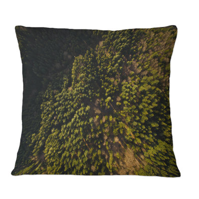 Abstract Throw Pillow