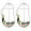 50x92.5CM Wall Mirror Metal Asymmetrical Accent Mirror set of 2