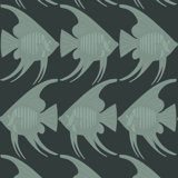 Angel Fish - Black Wallpaper
