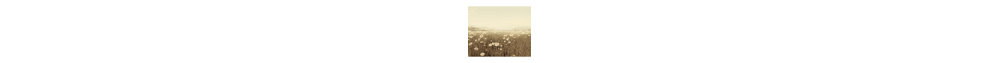 Field of Daisies Photographic Print-23823147-12898597