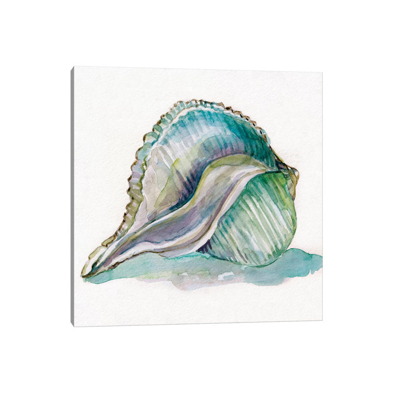 Malecon Shell I by Carol Robinson - Print on Canvas, Wrapped Canvas, 30.48 cm H x 30.48 cm W