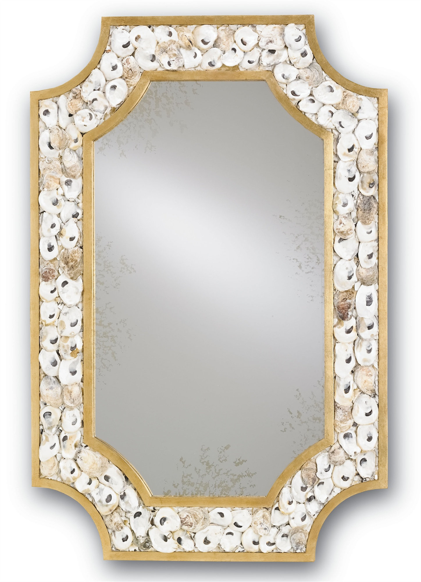 Currey & Company Margate Coastal Accent Mirror & Reviews | Wayfair