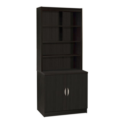 Kingston 2 -Door Storage Cabinet