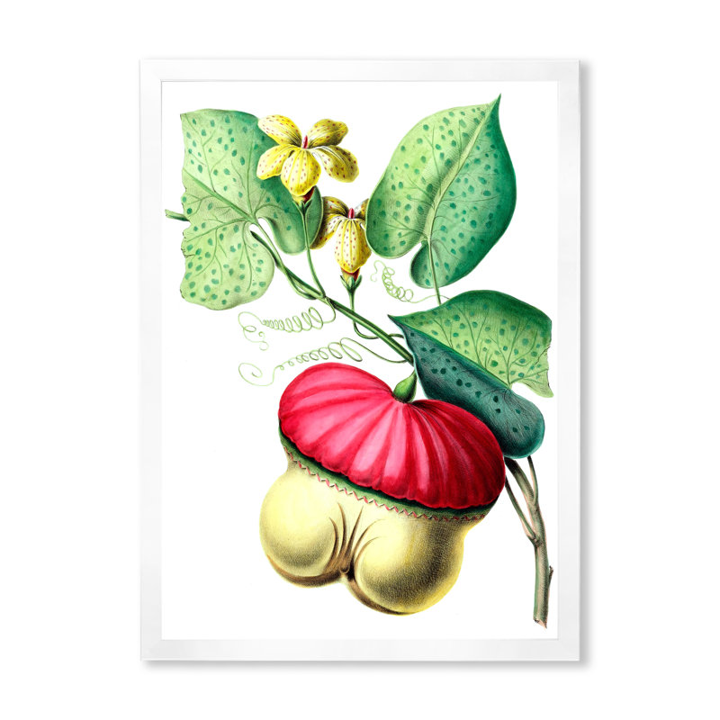 «Vintage American Flowers I», reproduction sur toile encadrée, H 40 po x l 30 po x 1,5 po, Blanc