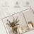 Zen " Zen Bathroom " 3 - Pieces-92826245