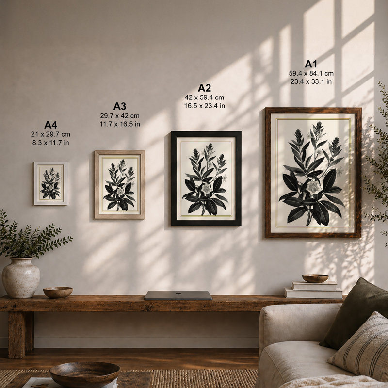Study In Botanical - Framed Print, Unframed, A2 - 59.4 x 42.0 cm