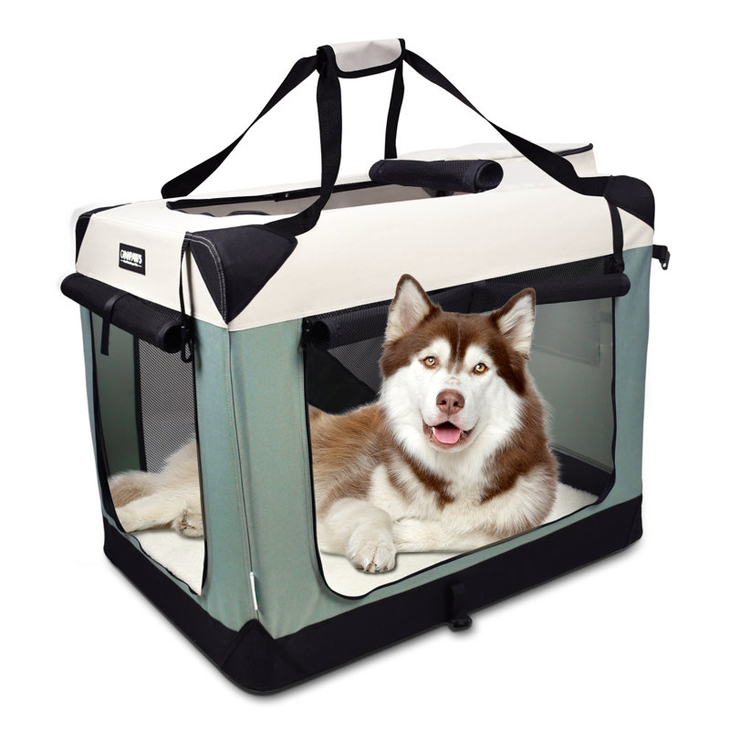 Caisse pour chien Jespet, H 27 po x l 24 po x P 36 po, Vert