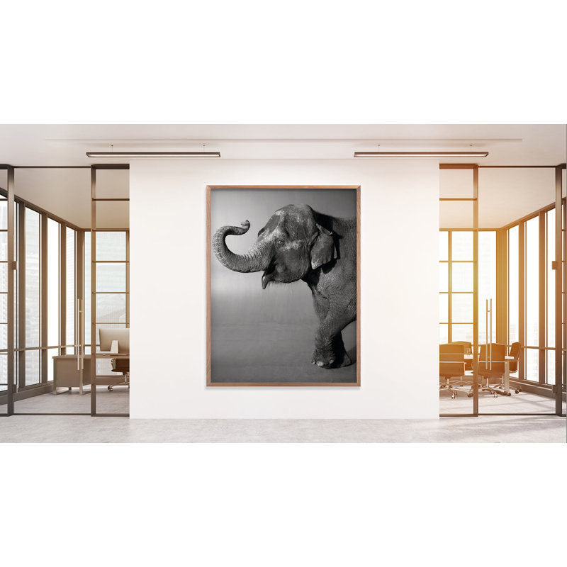 Belle Print by Trunk Archive