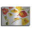 Art mural en métal "Sunny vibrations" par Shirley Novak, 36 po x 24 po